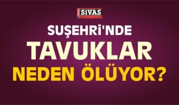 Suşehri’ndeki Tavuk Ölümleri