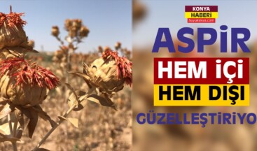 Aspir Hem İçi Hem Dışı Güzelleştiriyor