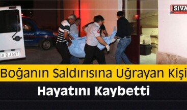 Boğanın Saldırısına Uğrayan Kişi Öldü