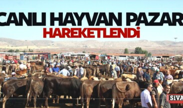 Canlı Hayvan Pazarı Hareketlendi