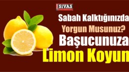 Uyurken Başucunuzda Limon Olmasının Faydaları