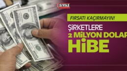 Şirketlere 2 Milyon Dolar’a Kadar Hibe Desteği