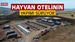 Sivas’ta Hayvan Otelinin Yapımı Sürüyor