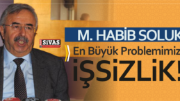 Mehmet Habib Soluk : En Büyük Problemimiz İşsizlik!