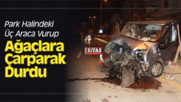 Park Halindeki Üç Araca Vurup Ağaçlara Çarparak Durdu