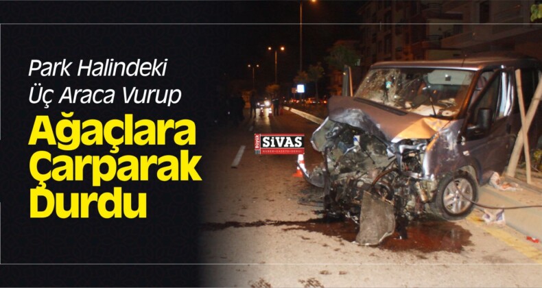 Park Halindeki Üç Araca Vurup Ağaçlara Çarparak Durdu