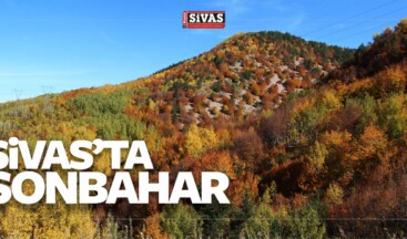 Suşehri ve Koyulhisar ilçelerinde Sonbahar Mevsimi