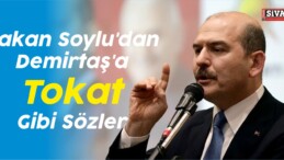 Bakan Soylu’dan Demirtaş’a Tokat Gibi Sözler