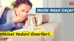 Nezle Nasıl Geçer? Bitkisel Tedavi Önerileri..