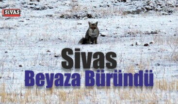 Sivas’ta Kış