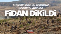 Suşehri’nde 15 Temmuz Şehitleri Anısına Fidan Dikildi