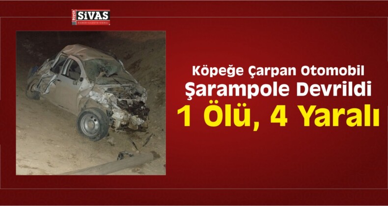 Köpeğe Çarpan Otomobil Şarampole Devrildi: 1 Ölü, 4 Yaralı