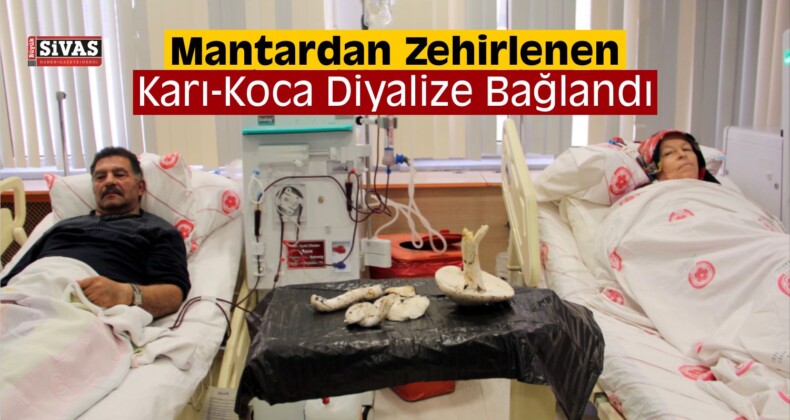 Mantardan Zehirlenen Karı-Koca Diyalize Bağlandı