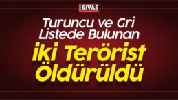 Turuncu ve Gri Listede Bulunan iki Terörist Öldürüldü