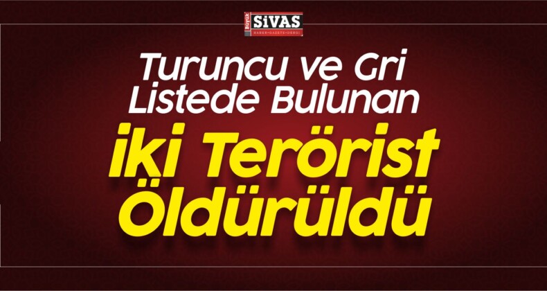 Turuncu ve Gri Listede Bulunan iki Terörist Öldürüldü