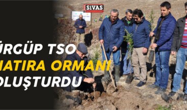 Ürgüp Ticaret ve Sanayi Odası Hatıra Ormanı Oluşturdu