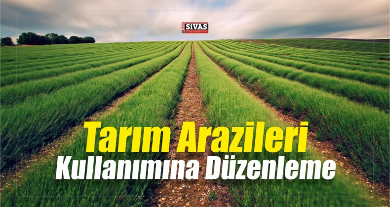 Tarım Arazileri Kullanımına Düzenleme