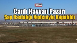 Sivas’ta Şap Hastalığı Karantinası