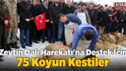 Zeytin Dalı Harekatı’na Destek İçin 75 Koyun Kestiler!