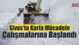 Sivas’ta Karla Mücadele Çalışmaları