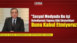 Sivas’ta Sokak Köpeklerinin Zehirlendiği İddiası