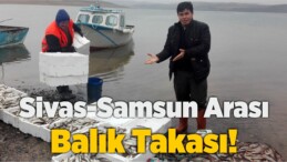 Sivas’ın Balığı Takas İçin Samsun’a Götürülüyor