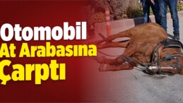 Niğde’de Otomobil At Arabasına Çarptı