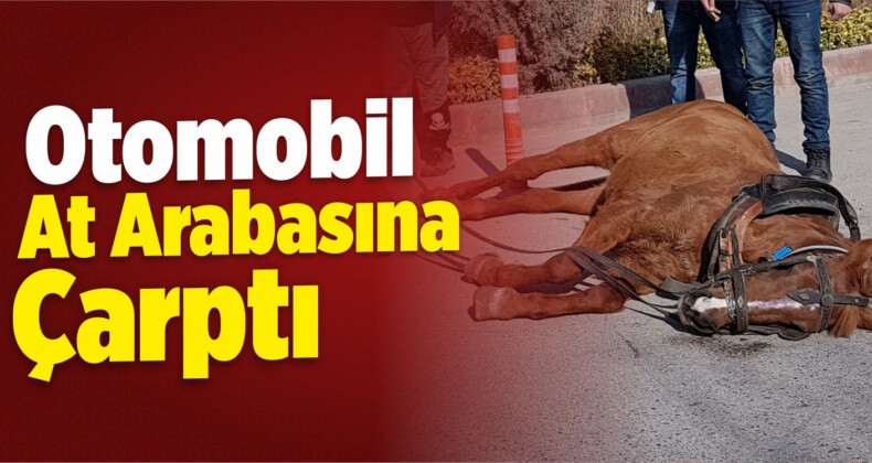 Niğde’de Otomobil At Arabasına Çarptı