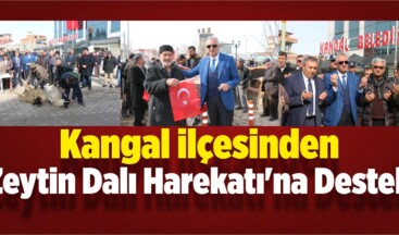 Kangal’da Zeytin Dalı Harekatı’na Destek