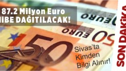 Sivas Dahil 42 Şehirde 87.2 Milyon Euro Hibe Dağıtılacak!