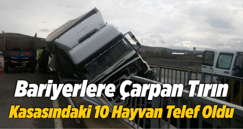 Bariyerlere Çarpan Tırın Kasasındaki 10 Hayvan Telef Oldu