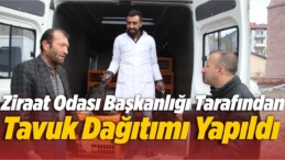 Ziraat Odası Başkanlığı Tarafından Tavuk Dağıtımı Yapıldı