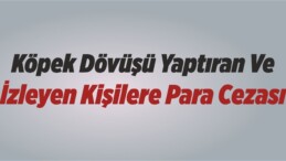 Köpek Dövüşü Yaptıran Ve İzleyen Kişilere Para Cezası Uygulandı