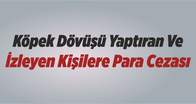 Köpek Dövüşü Yaptıran Ve İzleyen Kişilere Para Cezası Uygulandı