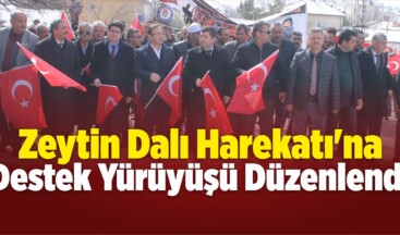 Çayıralan’da Zeytin Dalı Harekatı’na Destek Yürüyüşü