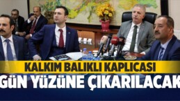 Kalkım Balıklı Kaplıcası Gün Yüzüne Çıkarılacak