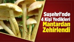 Suşehri’nde 4 Kişi Yedikleri Mantardan Zehirlendi