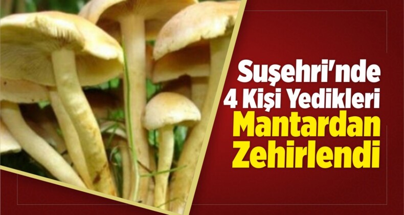 Suşehri’nde 4 Kişi Yedikleri Mantardan Zehirlendi