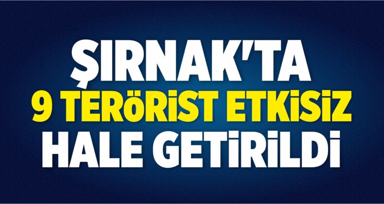 Şırnak’ta 9 Terörist Etkisiz Hale Getirildi