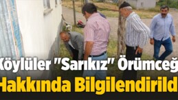 Köylüler “Sarıkız” Örümceği Hakkında Bilgilendirildi