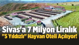 Sivas’a 7 Milyon Liralık “5 Yıldızlı” Hayvan Oteli Açılıyor!