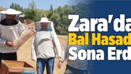 Zara İlçesinde Bal Hasadının Sona Erdiği Bildirildi