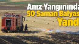 Anız Yangınında 50 Saman Balyası Yandı