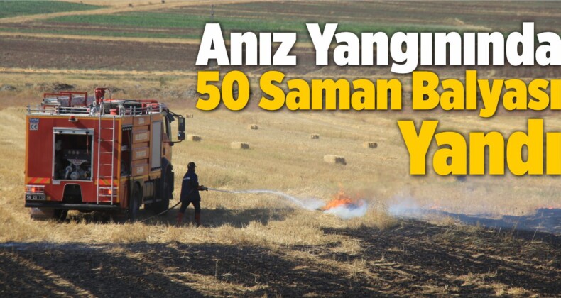 Anız Yangınında 50 Saman Balyası Yandı