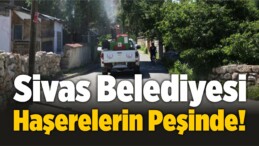 Sivas Belediyesi Haşerelerin Peşinde!