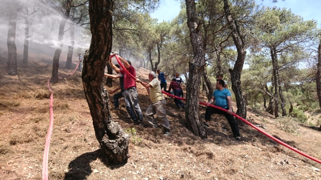 Reşadiye de Orman Yangını