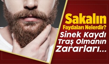 Sakalın Faydaları Nelerdir? Sinek Kaydı Traş Olmanın Zararları…