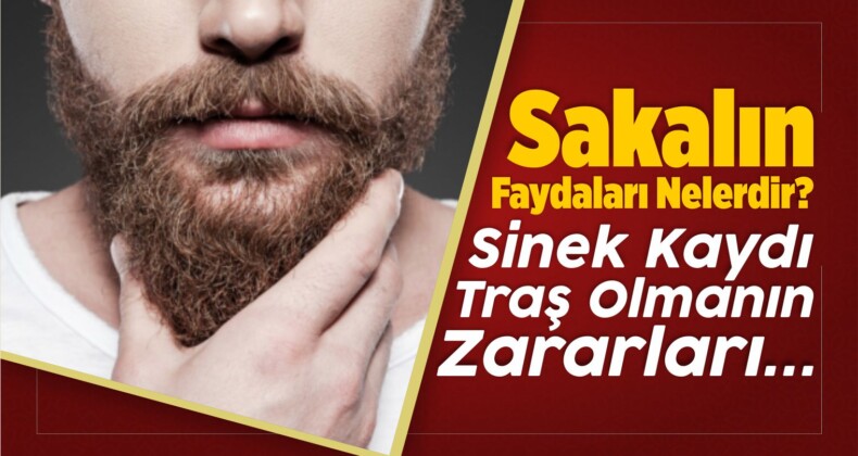 Sakalın Faydaları Nelerdir? Sinek Kaydı Traş Olmanın Zararları…