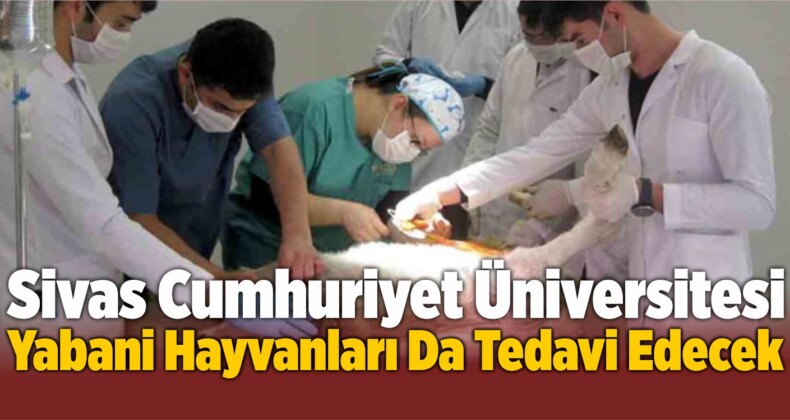 Üniversite, Yabani Hayvanları Da Tedavi Edecek