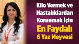 En Faydalı Yaz Meyveleri